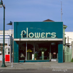 Flower Shop in Emerald Green Carrara glass - Alameda, California